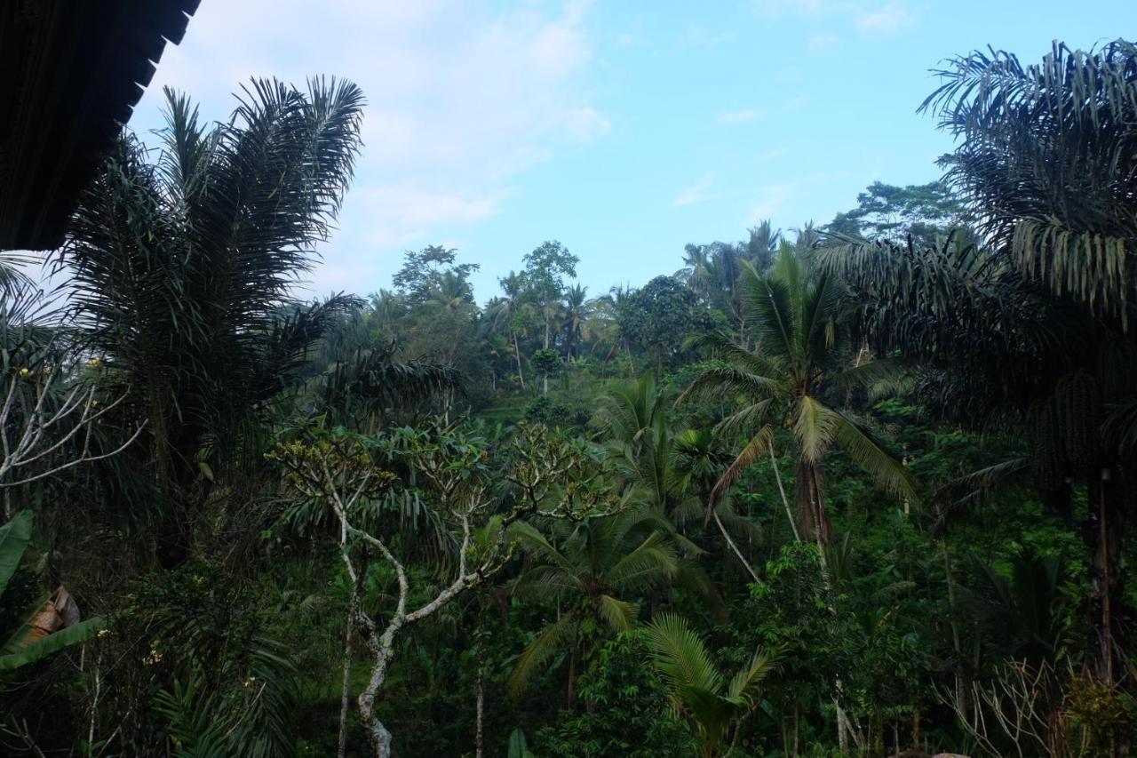 Gunung Kawi House Βίλα Tegallalang  Εξωτερικό φωτογραφία