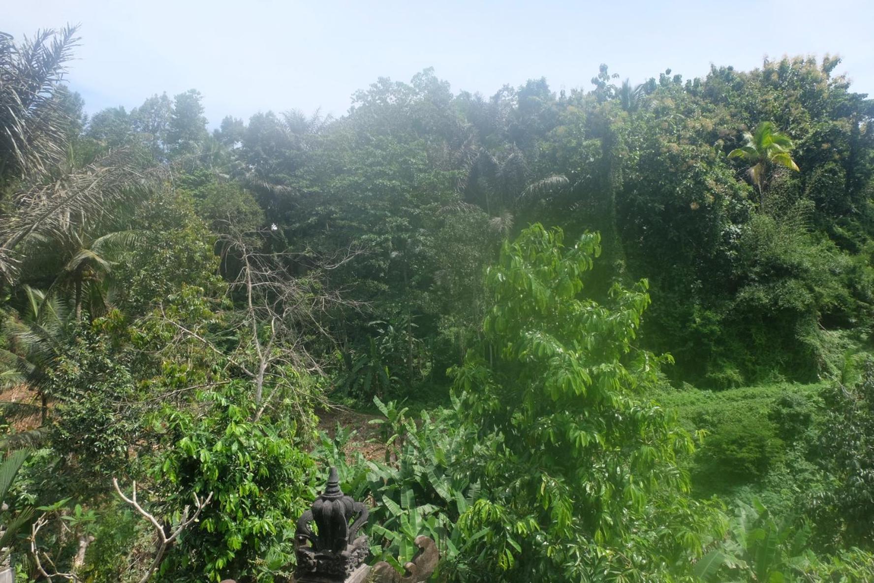 Gunung Kawi House Βίλα Tegallalang  Εξωτερικό φωτογραφία