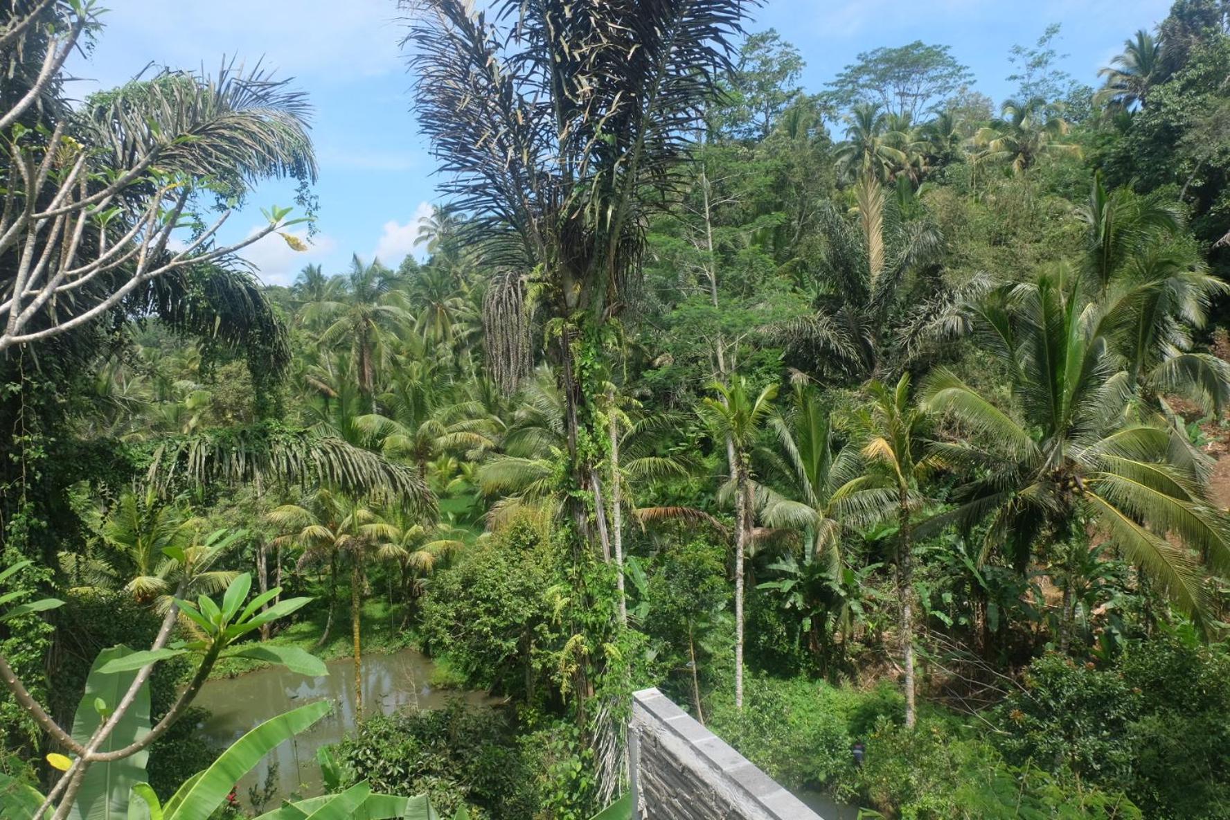 Gunung Kawi House Βίλα Tegallalang  Εξωτερικό φωτογραφία